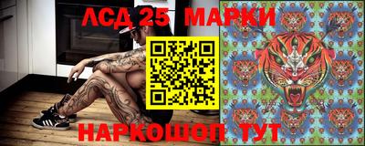 герыч Камышлов