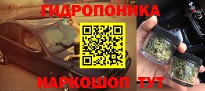 ПСИЛОЦИБИНОВЫЕ ГРИБЫ Канаш