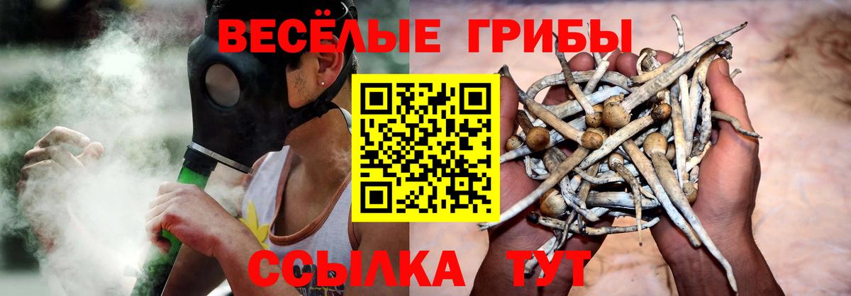 Галлюциногенные грибы Psilocybine cubensis Северобайкальск